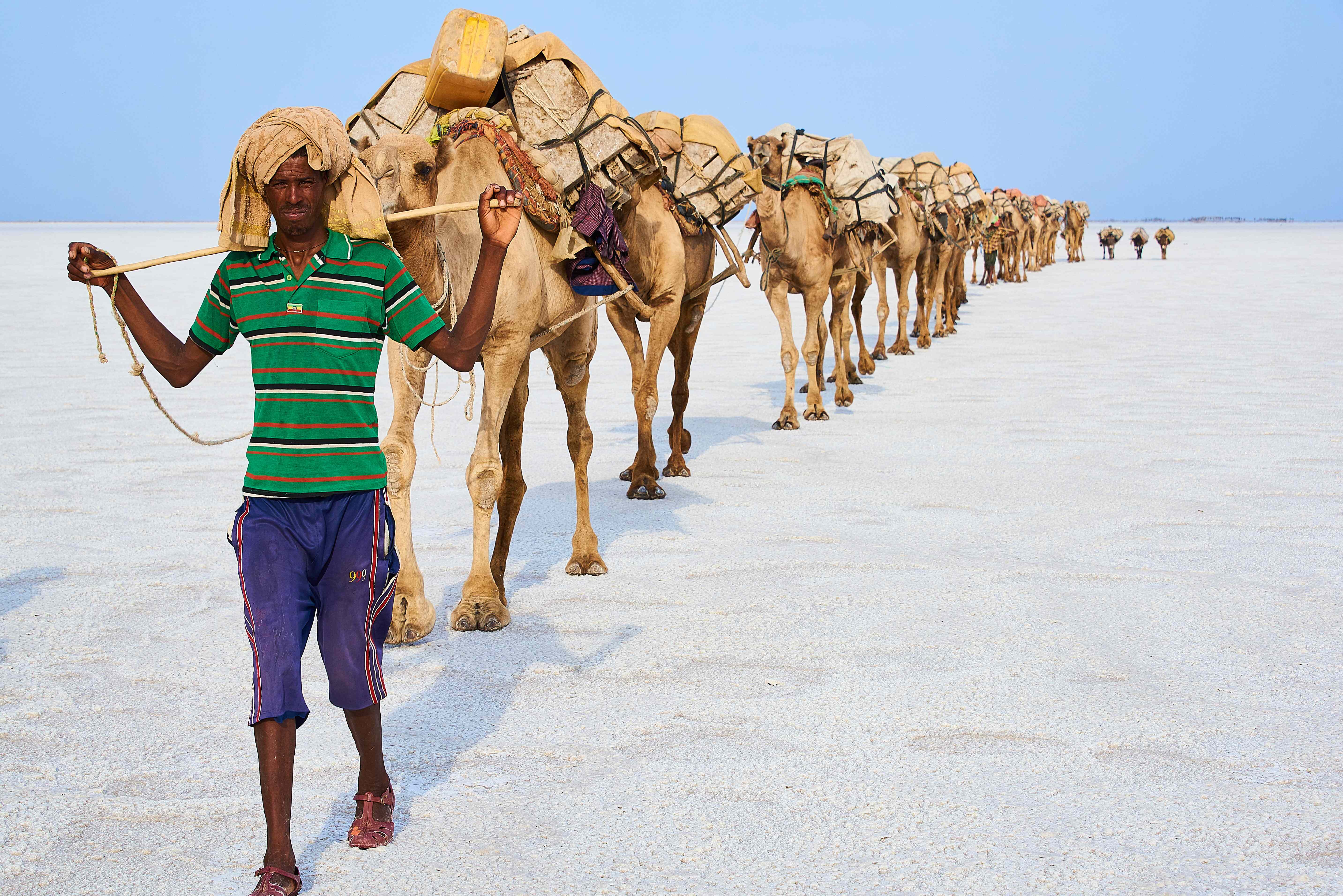 Harar and Afar Expedition